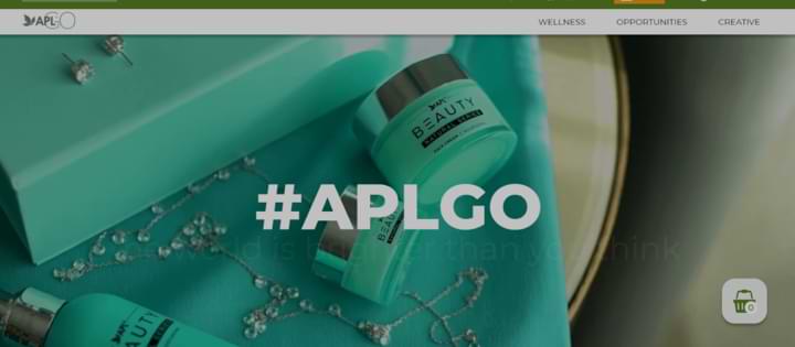 what is aplgo about website