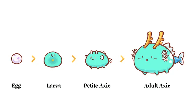 Is Axie Infinity a Scam What Exactly are Axies