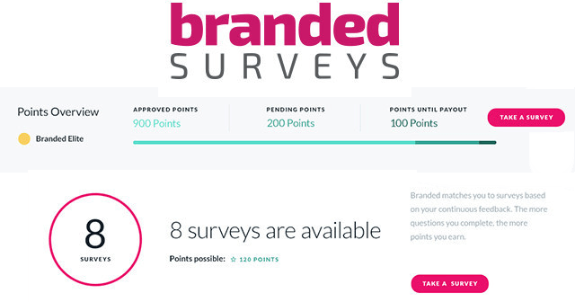 How Much Money Can You Make With Branded Surveys?